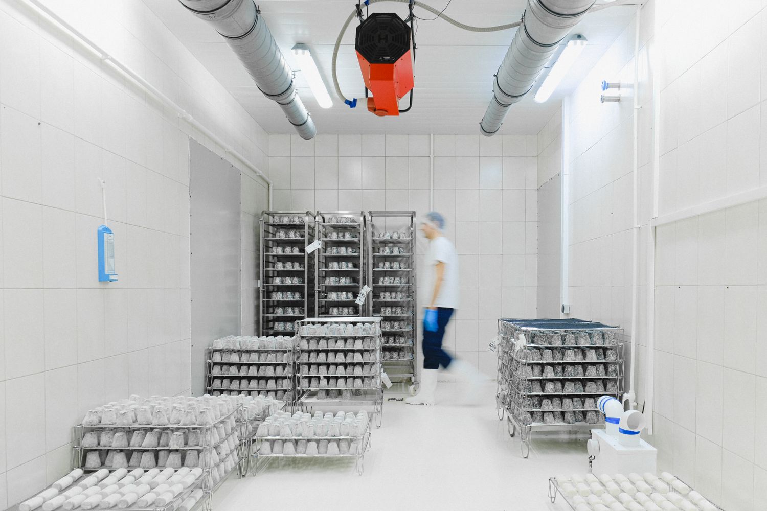 Cool 8 to 15 degree controlled storage in a Singapore cold chain