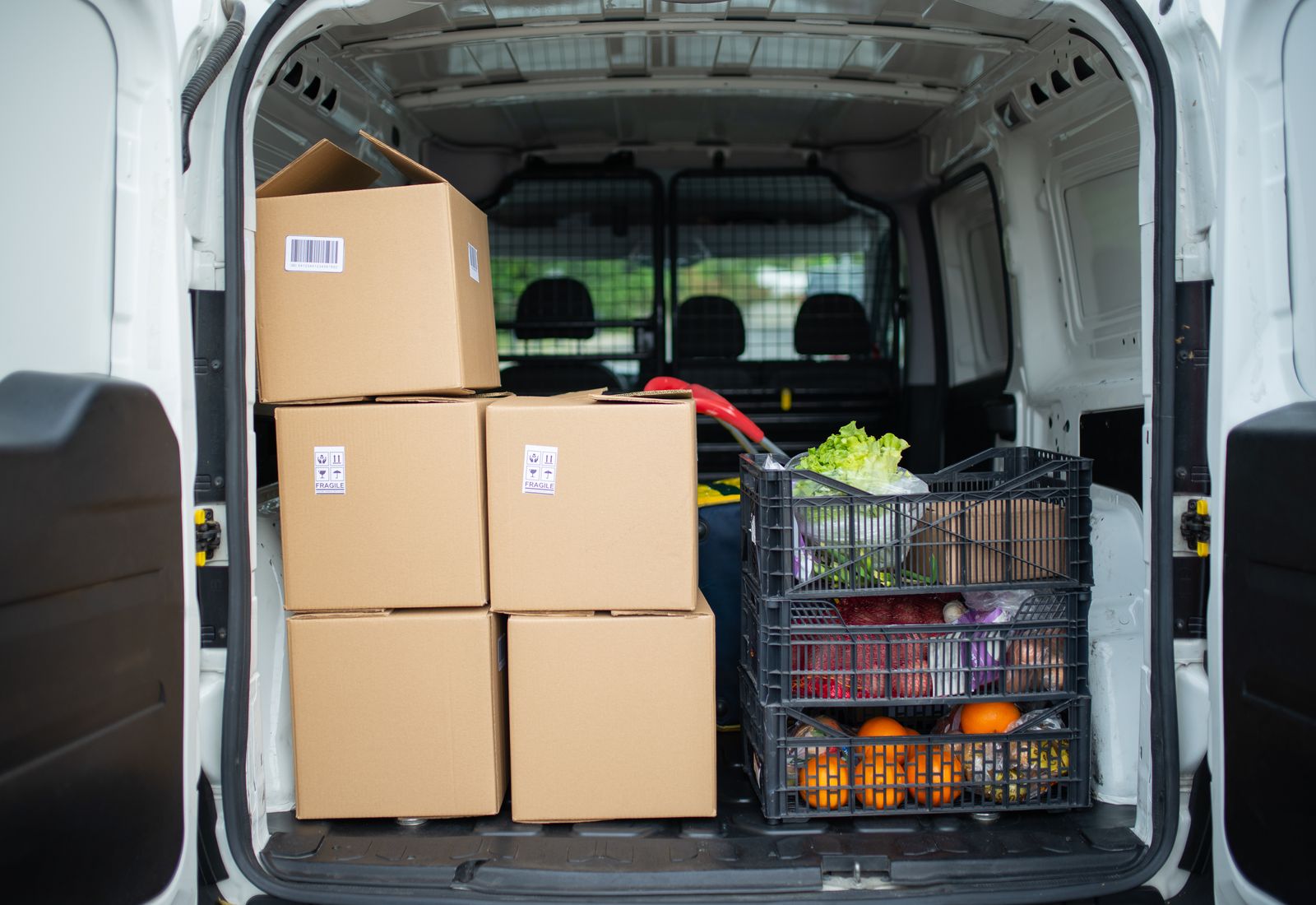 Groceries delivery services Singapore cold chain logistics