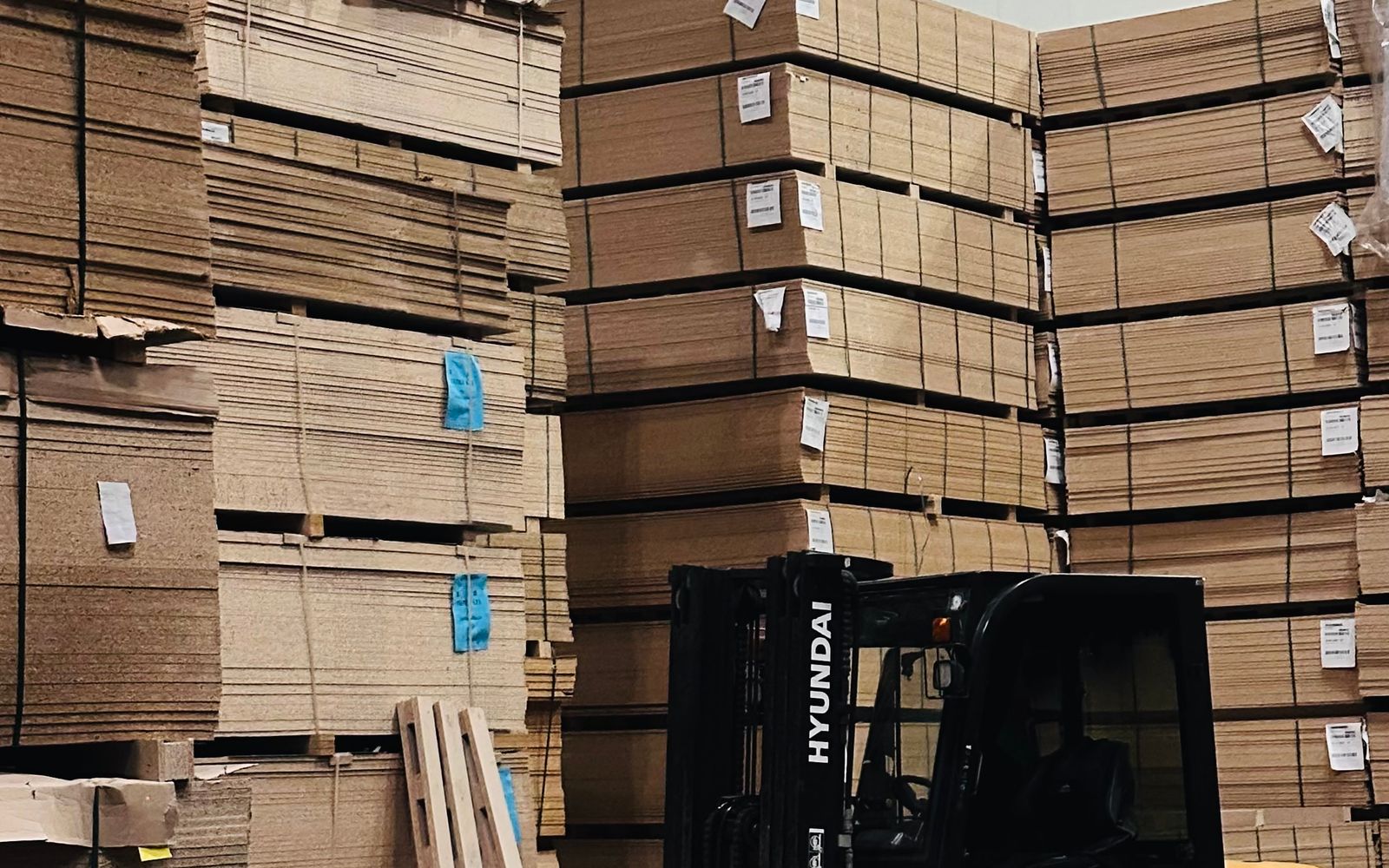 Forklift loading stacked cartons for a Relo container job in Singapore